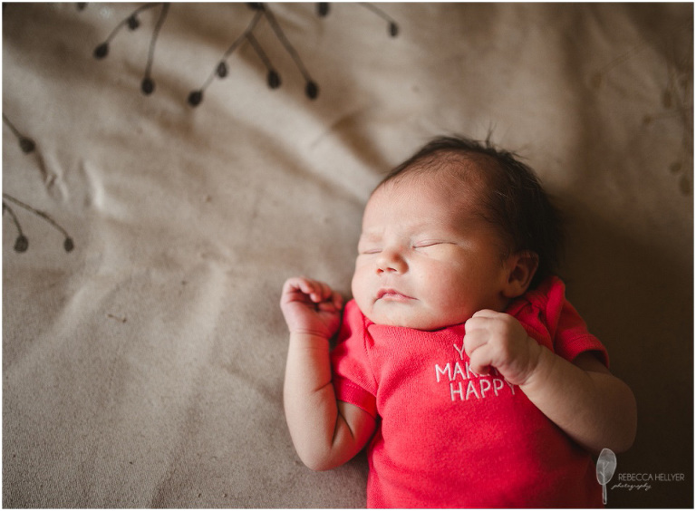 Chicago Newborn Photographer | Rebecca Hellyer Photography