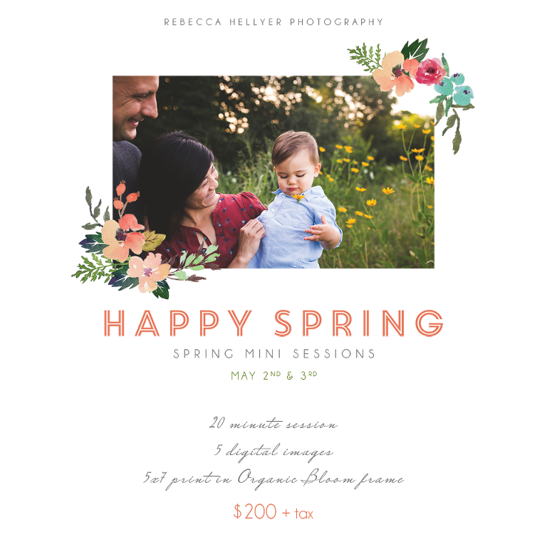 Spring Mini Sessions | Chicago Photographer