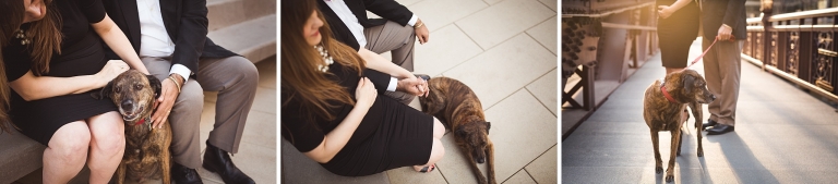 Maternity photos with dog | Chicago photographer | © Rebecca Hellyer Photography